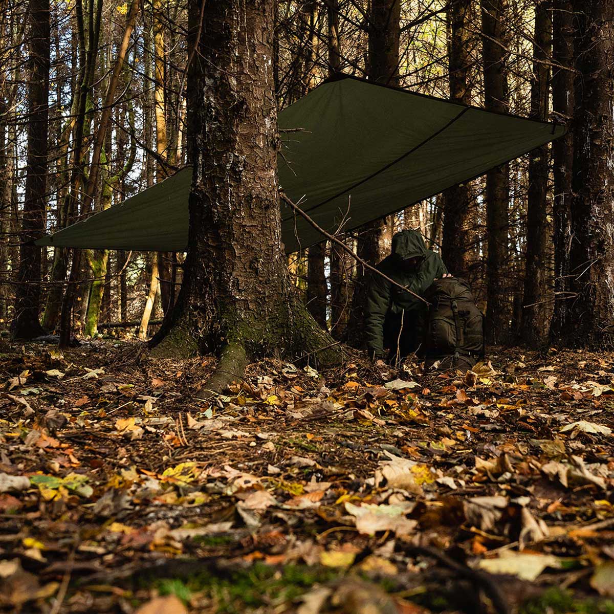 highlander xl olive tarp shelter canopy setup