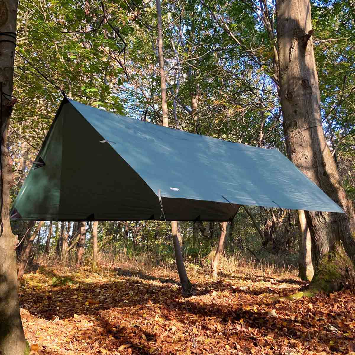 dd hammocks tarp m olive green 2.5m x 2.4m