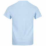 rear of light blue cotton t-shirt