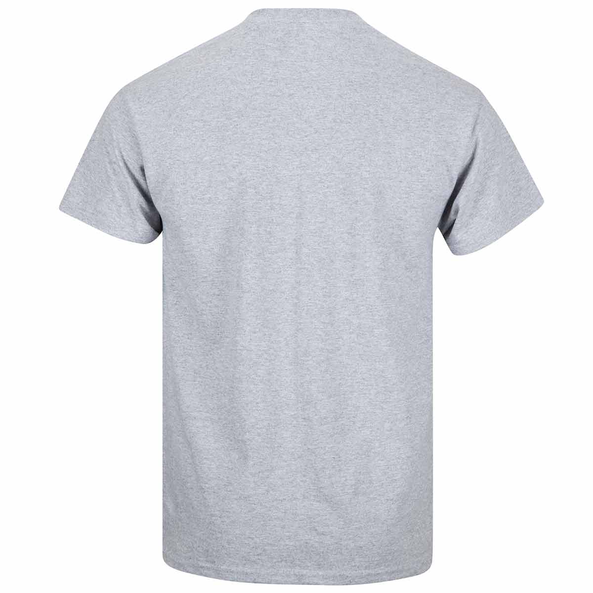rear sport grey tshirt