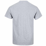 rear sport grey tshirt