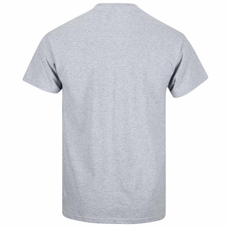 rear sport grey tshirt